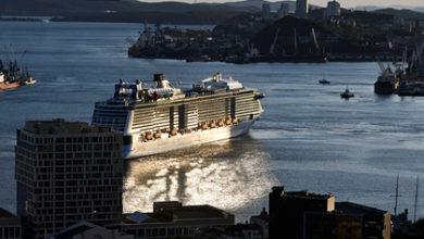 Фото - Ушедший в «безопасный круиз» лайнер вернулся в порт из-за коронавируса на борту