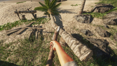 Фото - В Epic Games Store началась раздача Stranded Deep, на очереди — Solitairica