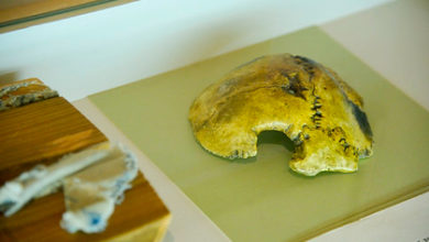 Фото - В Москве показали фрагмент черепа Гитлера: История