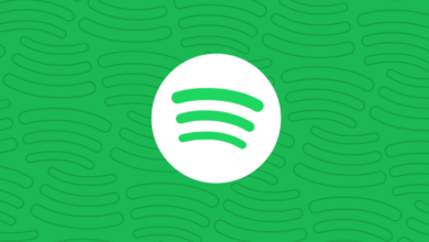 Фото - В Spotify появится возможность локального воспроизведения музыки