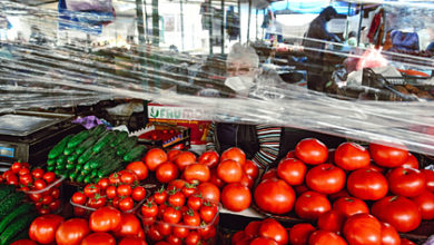 Фото - Власти России отреагировали на угрозу дефицита томатов