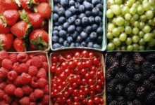 Фото - Какие ягоды нужно употреблять для профилактики вирусных заболеваний