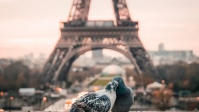 Фото - Иностранцы скупают квартиры в Париже