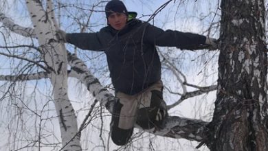 Фото - Ловивший интернет с березы российский блогер упал