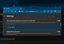 Фото - Microsoft Edge 88 предупредит об «утёкших» паролях