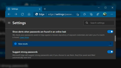 Фото - Microsoft Edge 88 предупредит об «утёкших» паролях