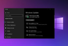 Фото - Microsoft случайно раскрыла сроки запуска Windows 10 21H1