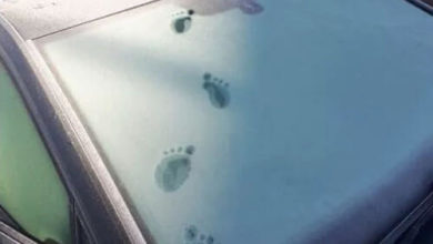 Фото - Неизвестное существо прошлось по автомобилю и оставило на нём странные следы