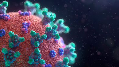Фото - Объяснена главная загадка коронавируса