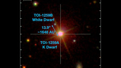 Фото - Обнаружена уникальная планетная система с двумя звездами