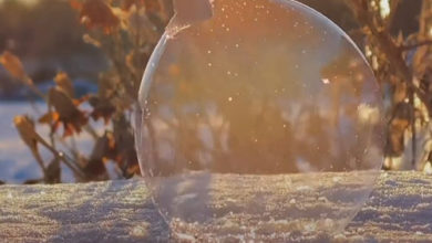 Фото - Пользуясь холодной погодой, умельцы замораживают мыльные пузыри