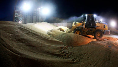 Фото - Россия оставит Египет без пшеницы