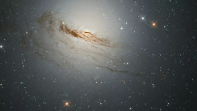 Фото - Российские учёные выяснили, что некоторые чёрные дыры — это «порталы» в отдалённые районы Вселенной