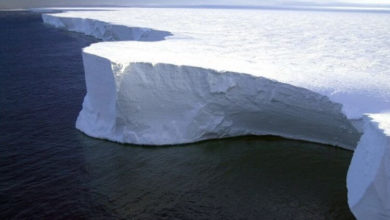 Фото - Самый большой айсберг в мире угрожал жизни животных. Что с ним стало теперь?
