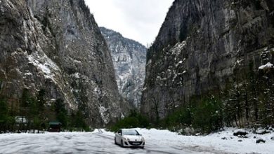 Фото - В горах Абхазии спасли заблудившегося россиянина