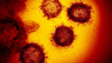 Фото - В России нашли новый способ убить коронавирус