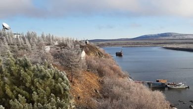 Фото - В российском парке открыли вакансию отшельника