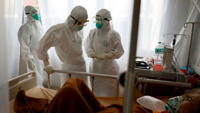 Фото - Жирные кислоты предотвратили смерть от коронавируса: Жизнь