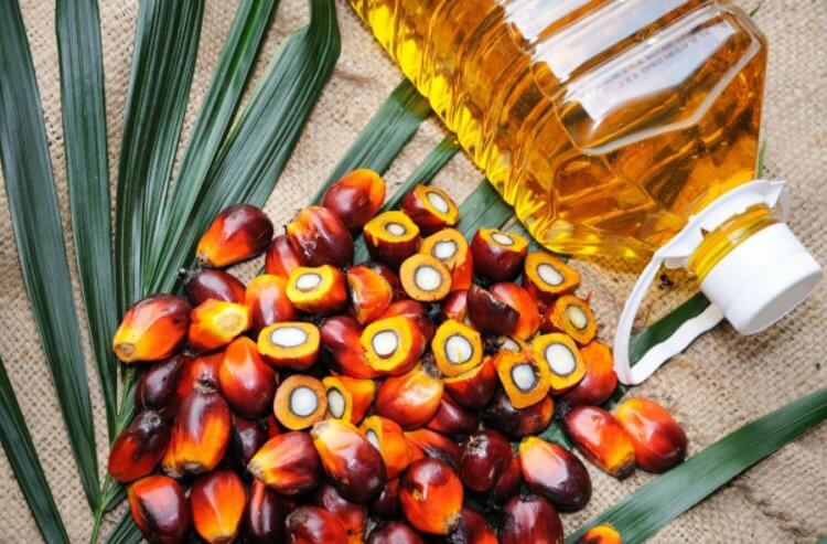 Что такое пальмовое масло?