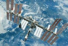 Фото - Космонавтам на МКС доставят чеснок и новогодние подарки