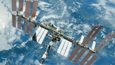 Фото - Космонавтам на МКС доставят чеснок и новогодние подарки