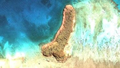 Фото - На картах Google обнаружили остров в форме пениса