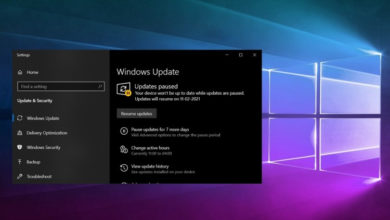 Фото - Обновление Windows 10 May 2020 Update стало доступно всем пользователям