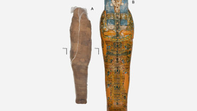 Фото - Раскрыта неожиданная тайна древнеегипетской мумии