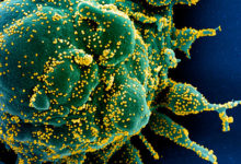 Фото - Раскрыто влияние температуры на заражение коронавирусом