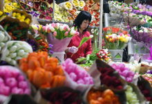 Фото - Россиян предупредили о рекордном подорожании цветов