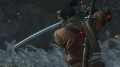 Фото - Спидраннер победил последнего босса Sekiro: Shadows Die Twice с завязанными глазами