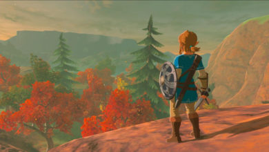 Фото - Спидраннер прошёл The Legend of Zelda: Breath of the Wild менее чем за три часа, играя ногами