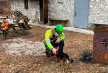 Фото - Турист с переломом пропал в горах на неделю и выжил благодаря собаке