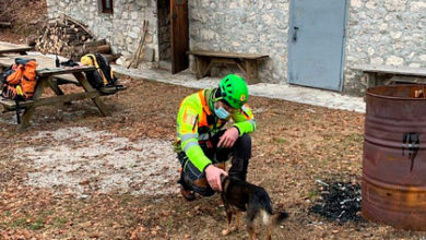 Фото - Турист с переломом пропал в горах на неделю и выжил благодаря собаке