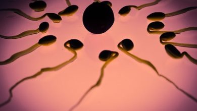 Фото - Ученые обнаружили сперматозоиды-убийцы