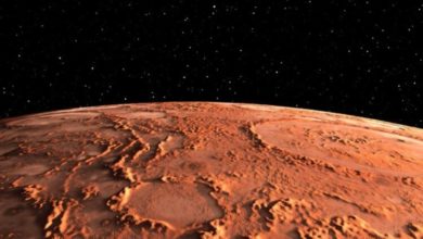 Фото - Ученые вырастили бактерии на марсианском метеорите. Почему это большое достижение?