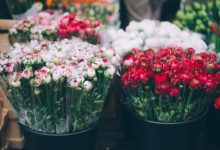 Фото - В России спрогнозировали рост цен на цветы к 8 марта