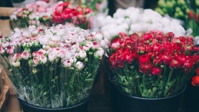 Фото - В России спрогнозировали рост цен на цветы к 8 марта