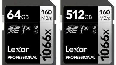 Фото - В серию карт памяти Lexar Professional SDXC 1066x Silver вошли четыре модели