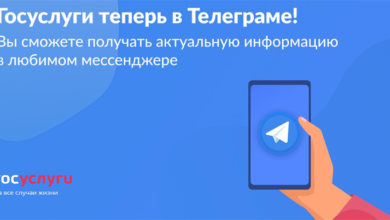 Фото - В Telegram появился официальный канал портала госуслуг