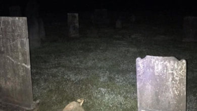 Фото - Во время ночного посещения кладбища любитель старины сфотографировал призрака