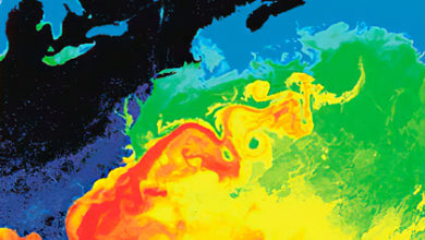 Фото - Зафиксировано беспрецедентное ослабление Гольфстрима