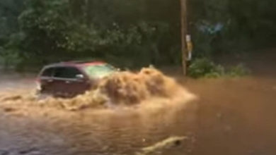 Фото - Автомобилистам пришлось и поездить, и поплавать