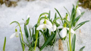 Фото - Как пережить изменения погоды: четыре совета от врача