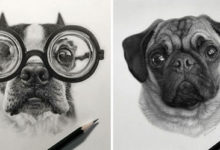 Фото - Гиперреалистичные портреты домашних животных легко спутать с фотографиями