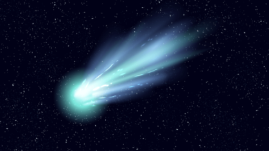 Фото - Комета Леонардо станет самым зрелищным событием 2021 года