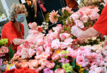 Фото - Матвиенко возмутилась ценами на цветы перед 8 Марта