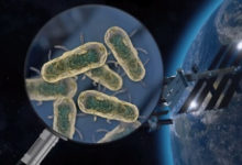 Фото - На МКС найдены неизвестные науке микробы. Они опасны?
