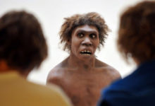 Фото - Насколько хорошо разговаривали неандертальцы?