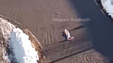 Фото - Плавающий на матрасе в луже россиянин привлек внимание мэра города